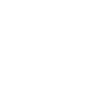 PROTON USA